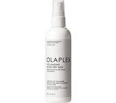 Volumizing Blow Dry Mist