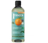 ChampÃº Daily Renewal