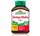 Ginkgo Biloba