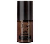 Shine Your Day Shimmery Powder Dark Wood