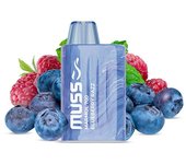 Vapeador Blueberry Razz
