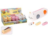 Pencil Case