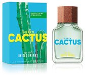Dreams Green Cactus