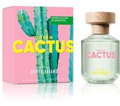 Dreams Green Cactus