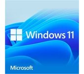 Windows 11 Home 1 licencia(s), Software