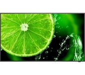 NEC MultiSync E328 Pantalla plana para señalización digital 81,3 cm (32 pulgadas pulgadas) LCD 350 cd / m² Full HD N