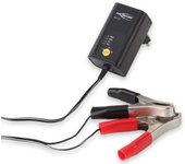 Ansmann ALCS 2-12 cargador de batería