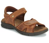 Sandalias Panama Jack  SANDERS BASICS C4