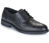 Zapatos Hombre Carlington  LOUVIAN