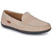 Mocasines Casual Attitude  VELMO