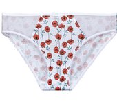 Culote y bragas DIM  GENEROUS COTON BIO
