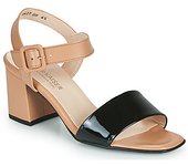 Sandalias Peter Kaiser  PEORIA