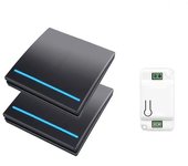 Interruptor de pared inalámbrico luz RF control remoto 1/2/3 gang 110V 220V Receptor-P Negro Option 4