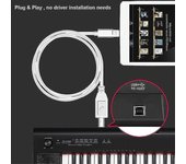 POTATO Lightning a Tipo-B Midi Keyboard Converter Cable USB 2.0 para Iphone 7 8 x Ipad