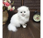 Woosien Joy For All - Gato plateado con guantes blancos - Mascotas de compañía interactivas - realistas y realistas