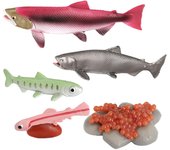 Animales realistas Salmón Ciclo de Vida Modelo Juguete