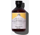 Davines Naturaltech Champú Anticaspa Purificante 8.45oz