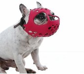 Short Snout Dog Muzzle,soft Silicone Adjustable Breathable Bulldog Muzzle For French Bulldog Shih Tzu And Pug For Biting Chewing Training