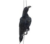 Cuervo muerto colgante realista de tamaño real Cuervo emplumado negro extra