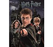 Harry Potter Harry, Ron Y Hermione Imprimir Negro 30cm x 40cm