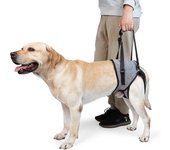 Arnés de elevación de perros, arnés de soporte para perros para patas traseras, cabestrillo de soporte de perro suave para perros discapacitados le...