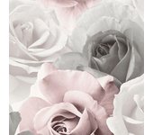Muriva Fondo de pantalla rosa rosa de Rhoda