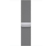 apple watch 45 silver ml