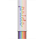 apple watch 45 pride edition sl