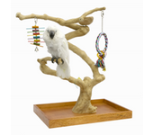 Arbol de Java para Loros JAVA MINI TREE Medium New
