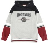 Suéter con Capucha de Harry Potter - Kids - Hogwarts - England Made - 128 164 - para niñas & niños - multicolor