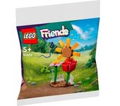30659, Juegos de construcción