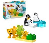 10442, Juegos de construcción