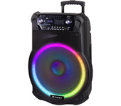 Trevi XFest XF 1600 KB Altavoz Amplificado de Alta Potencia 200 W, Caja inalámbrica portátil con micrófono dinámico Incluido para Karaoke, Toma USB, Micro SD, AUX-IN, TWS, batería integrada