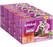 Whiskas Junior 2-12 meses 96 x 85 g en bolsitas - Selección clásica en salsa - 96 x 85 g