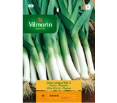 Semilla de puerro grueso largo verano