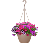 Maceta colgar algarve topo ø 31 cm