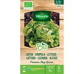 Semillas de lechuga may queen bio