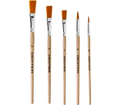 Pack de 5 pinceles dexter