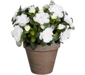 Planta artificial azalea blanco 31cm