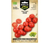 Plantones de hortalizas tomate de colgar selección domingo eco