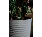 Maceta red jazz blanco 26cm
