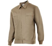 Cazadora - velilla - beige - 52