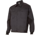 Cazadora - velilla - negro - 52
