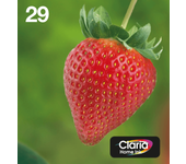 multipack 29 easymail 4 colores