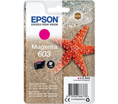 singlepack magenta 603 ink