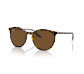 Rayban Gafas De Sol Ray-Ban Rb 2204 139357 Havana   Transparente