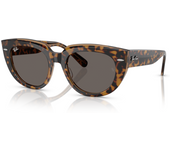 Rayban Gafas De Sol Ray-Ban Doreen Rb 2286 1292b1 Havana   Marrón Transparente