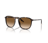Rayban Gafas De Sol Ray-Ban Rb 2203 902 51 Havana