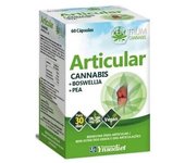Ynsadiet Zentrum Cannabis Articular 60 Caps