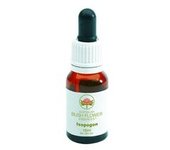 Elixir de Isopogon 15 ml de elixir floral - Australian Bush Flower Essences